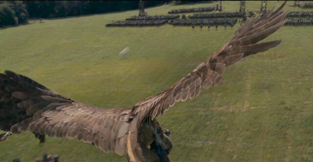 Plik:Gryf.narnia6.jpg