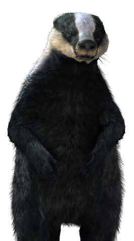 File:Chm.png
