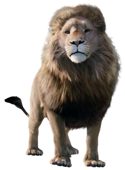 Lion | The Chronicles of Narnia Wiki | FANDOM powered by Wikia