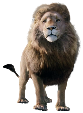 File:Liop.png