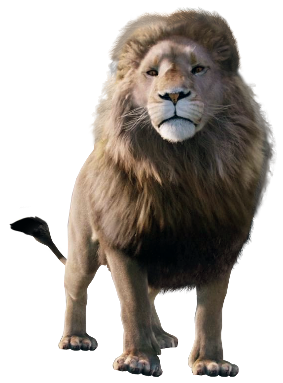 Lion The Chronicles of Narnia Wiki FANDOM powered by Wikia