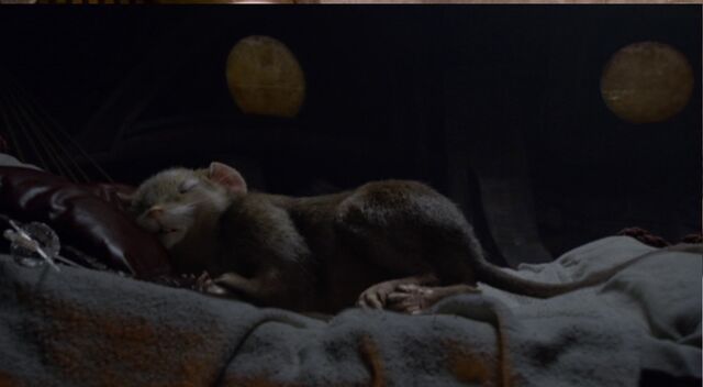 File:Reepicheep8.jpg