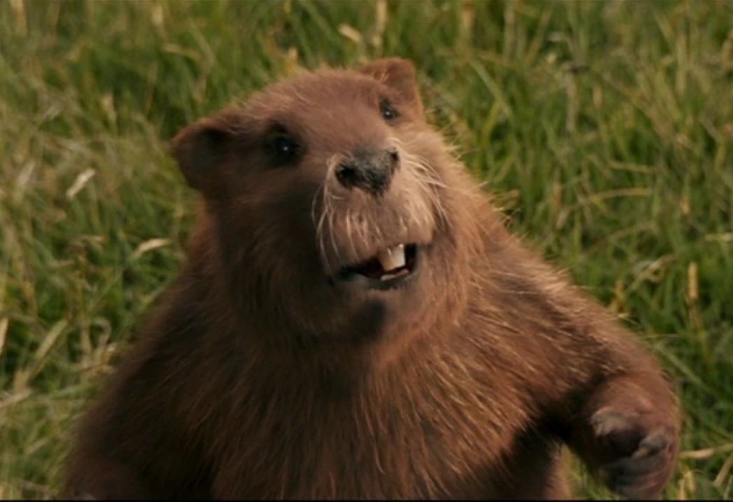 Mr. Beaver The Chronicles of Narnia Wiki FANDOM powered by Wikia