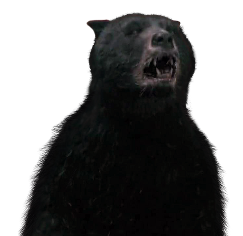 File:Bea12.png