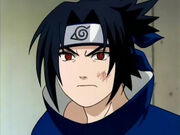 Hashidara Rasguñado.jpg
