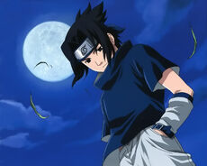 Hashidara Nuevo Look.jpg