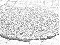 Thumbnail for version as of 05:38, July 21, 2016
