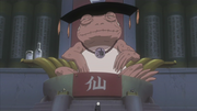 The Great Toad Sage.png