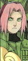 Sakurahaboru.jpg