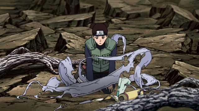 File:Tenten Freed.png