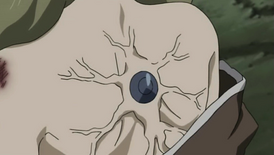 Hotaru11.png