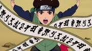 Pergaminos de Tenten.png