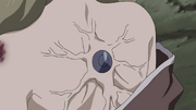 Marque du Kinjutsu.png