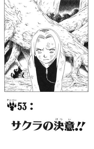 File:Chapter 53 Cover.jpg