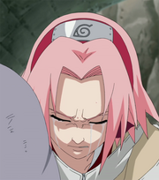 Nr11.png