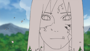 Shin Released.png