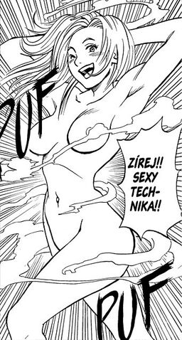 Soubor:Sexy technika.jpg