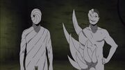 White-zetsu-and-swirl-zetsu.jpg