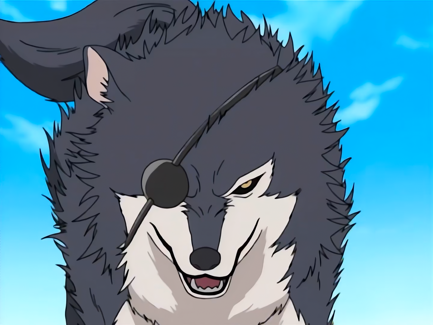 Kuromaru | Narutopedia | FANDOM powered by Wikia