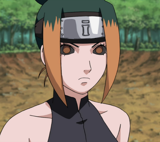 Berkas:ParukaAnime.png