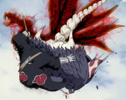 Rariatto.png