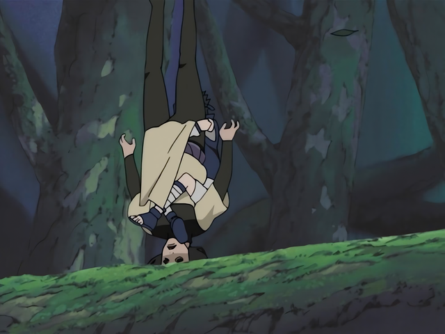 File:Peregrine Falcon Drop.png