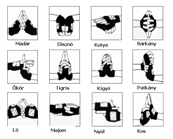 Fájl:Hand.png