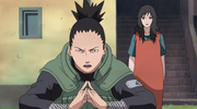 Shikamaru chroni Kurenai.png