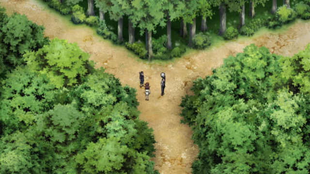File:Separate Paths.png