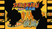 Shikamaru Fin.png