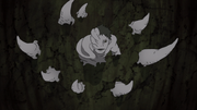 Mayfly.png