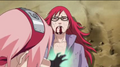 Sakura Karin Sympathy