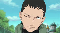 Shikamaru3