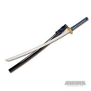 Space-Time Sword