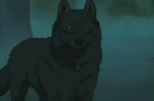 File:Okawari.png