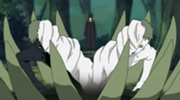 Zetsu division