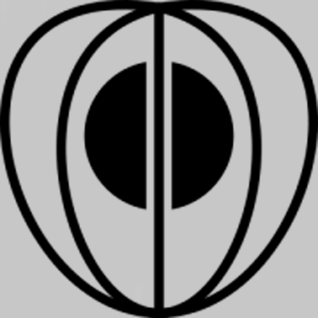 Imagen - Simbolo del Clan Hōzuki.png | Anime y Peliculas ...