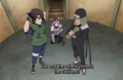 Hiruzenarashi