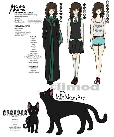 Plik:Character sheet.png