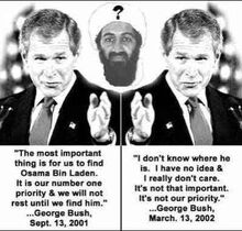 Bush
