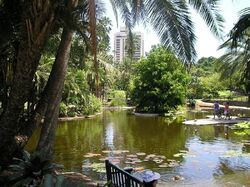 Lovia - 800px-City botanic gardens (duck pond)