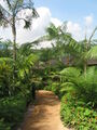 Thumbnail for version as of 12:06, January 27, 2008
