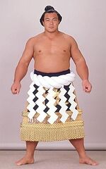 Sumo