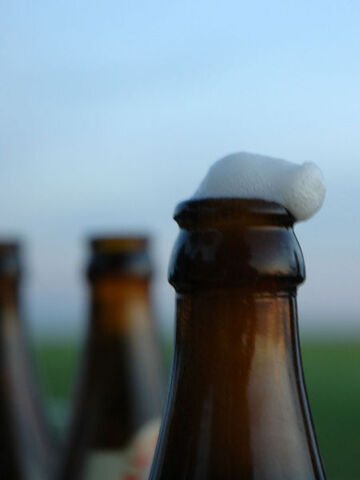 File:450px-Bottled-beer-foam.jpg