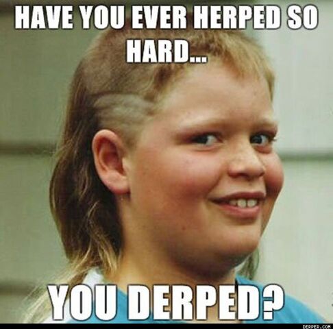 File:Have You Ever Herped So Hard You Derped .jpg