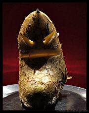 Potato