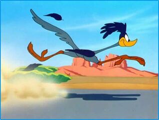 Road-runner-1