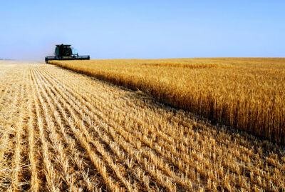 Agriculture