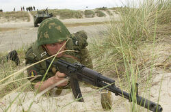 Erusea naval infantry