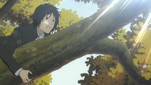 File:Tanuma crawling at tree.jpg